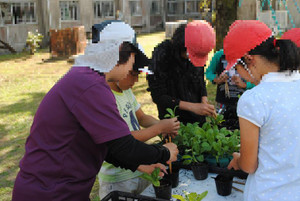 Photo_3