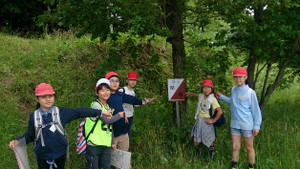 Photo_11