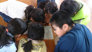 Photo_9