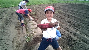 20160929_133849_camera_pic
