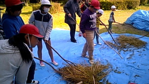 20161220_143404_camera_pic