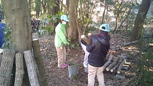 20170202_110601_camera_pic