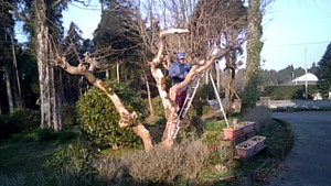 20170206_082825_camera_pic