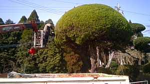 20170206_103640_camera_pic