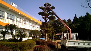 20170206_112812_camera_pic