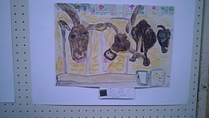 20170303_093132_camera_pic
