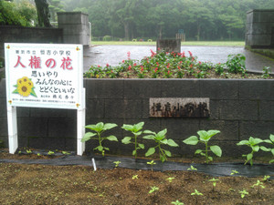 Kimg0634
