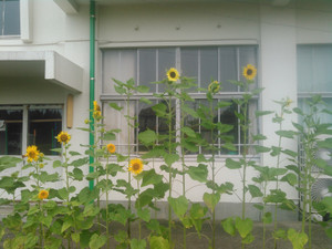 Kimg0858