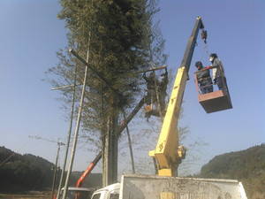 Kimg2537