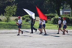 Img_5294