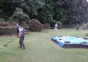 100_0085 100_0085